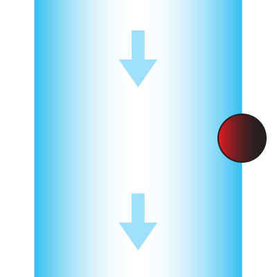 EPC Edge Guide 