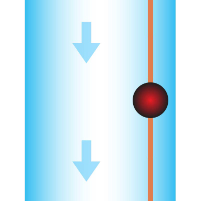 LPC Line Guide 