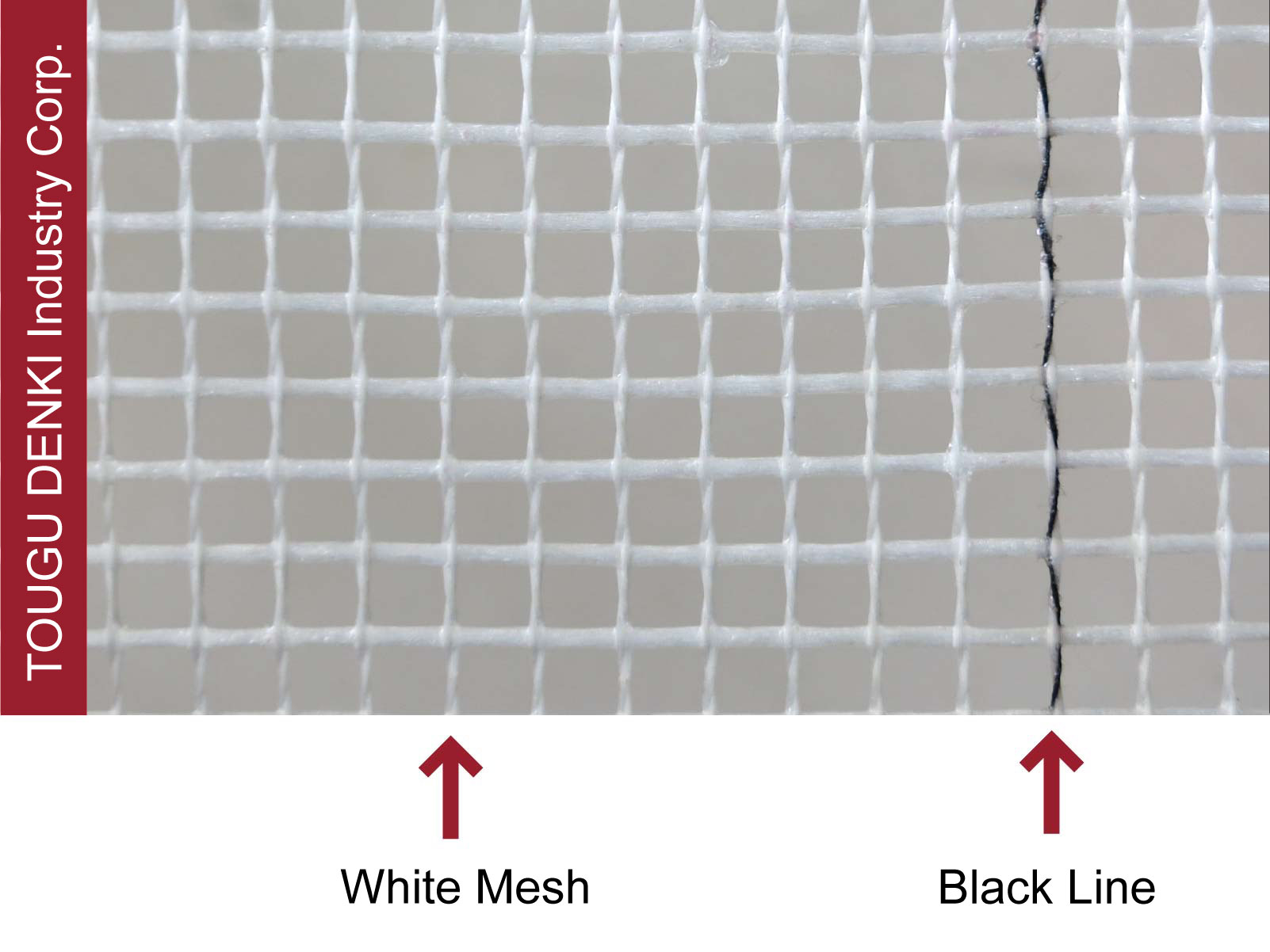 Black Printing Line on White Mesh