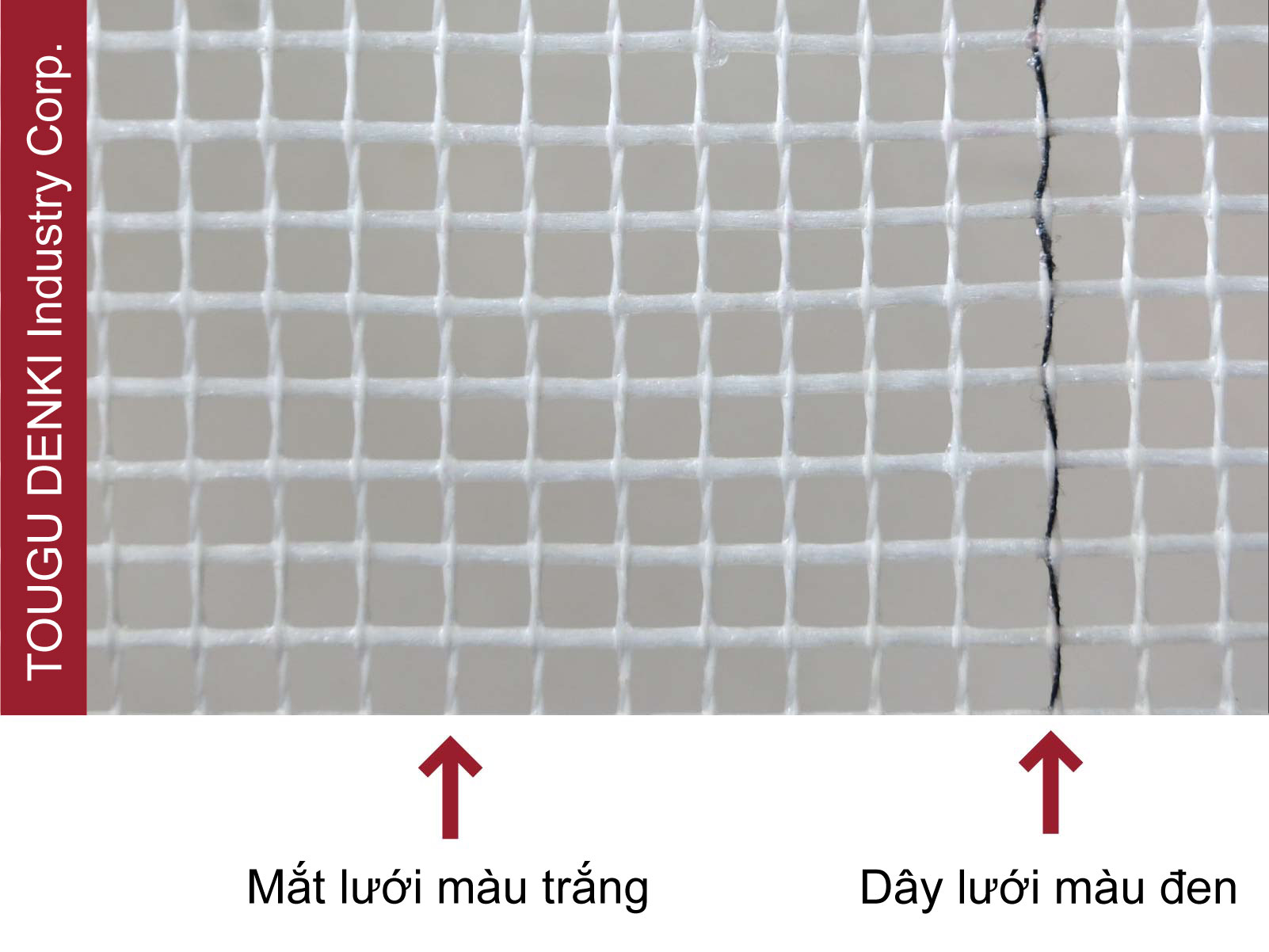 Đường in trên mắt lưới